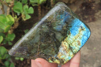 Polished Labradorite Standing Free Forms x 2 From Tulear, Madagascar