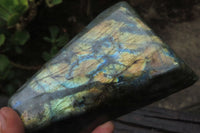 Polished Labradorite Standing Free Forms x 2 From Tulear, Madagascar