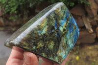 Polished Labradorite Standing Free Forms x 2 From Tulear, Madagascar