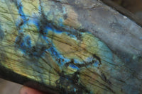 Polished Labradorite Standing Free Forms x 2 From Tulear, Madagascar