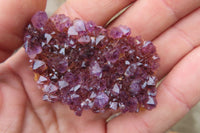 Natural Amethystos Amethyst Specimens x 35 From Kwaggafontein, South Africa