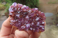 Natural Amethystos Amethyst Specimens x 35 From Kwaggafontein, South Africa