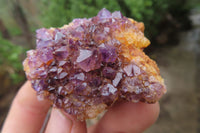 Natural Amethystos Amethyst Specimens x 35 From Kwaggafontein, South Africa