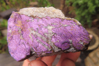 Natural Metallic Purpurite Cobbed Specimens x 12 From Erongo, Namibia