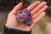 Natural Metallic Purpurite Cobbed Specimens x 12 From Erongo, Namibia