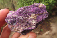 Natural Metallic Purpurite Cobbed Specimens x 12 From Erongo, Namibia