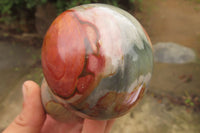 Polished Polychrome Jasper Mushrooms x 6 From Madagascar