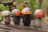 Polished Polychrome Jasper Mushrooms x 6 From Madagascar