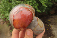 Polished Polychrome Jasper Mushrooms x 6 From Madagascar