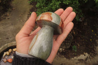 Polished Polychrome Jasper Mushrooms x 6 From Madagascar