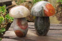 Polished Polychrome Jasper Mushrooms x 6 From Madagascar