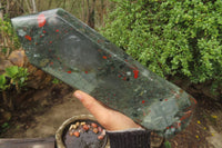 Polished Bloodstone Tower With Pyrite x 1 From Swaziland