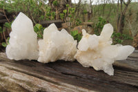 Natural Clear Phantom Quartz Clusters x 6 From Madagascar