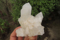 Natural Clear Phantom Quartz Clusters x 6 From Madagascar