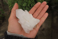 Natural Clear Phantom Quartz Clusters x 6 From Madagascar