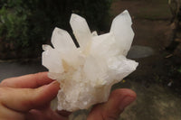 Natural Clear Phantom Quartz Clusters x 6 From Madagascar