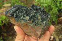 Natural Libethenite Crystals On Dolomite Matrix Specimen x 1 From Shituru, Congo