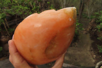 Polished Orange Twist Calcite Leaf Sculpture x 1 From Maevantanana, Madagascar