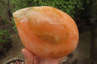 Polished Orange Twist Calcite Leaf Sculpture x 1 From Maevantanana, Madagascar