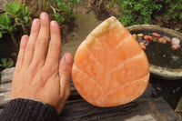 Polished Orange Twist Calcite Leaf Sculpture x 1 From Maevantanana, Madagascar