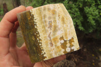 Polished Ocean Jasper Cubes x 4 From Madagascar