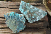 Natural Drusy Coated Chrysocolla Specimens x 2 From Congo