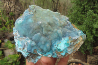 Natural Drusy Coated Chrysocolla Specimens x 2 From Congo