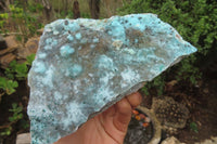 Natural Drusy Coated Chrysocolla Specimens x 2 From Congo