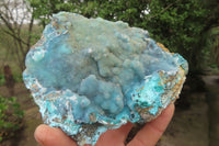 Natural Drusy Coated Chrysocolla Specimens x 2 From Congo