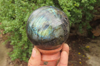 Polished Labradorite Spheres x 2 From Tulear, Madagascar