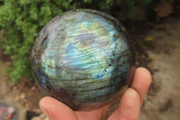 Polished Labradorite Spheres x 2 From Tulear, Madagascar