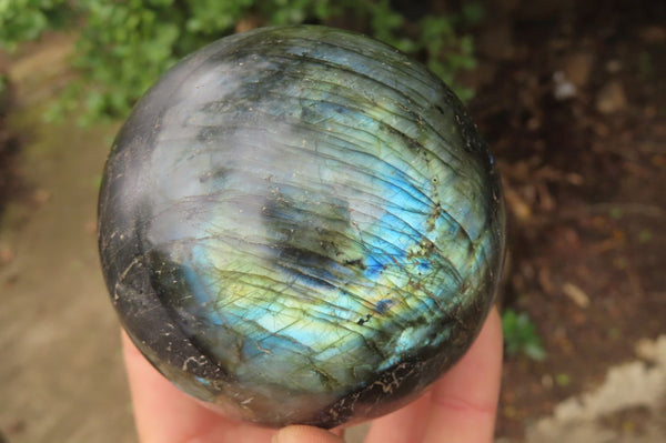 Polished Labradorite Spheres x 2 From Tulear, Madagascar