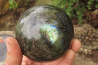 Polished Labradorite Spheres x 2 From Tulear, Madagascar