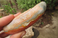 Polished On One Side Polychrome Jasper Nodules x 6 From Mahajanga, Madagascar