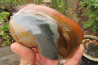 Polished On One Side Polychrome Jasper Nodules x 6 From Mahajanga, Madagascar