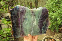 Polished Watermelon Fluorite Slice x 1 From Uis, Namibia