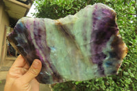 Polished Watermelon Fluorite Slice x 1 From Uis, Namibia