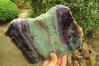 Polished Watermelon Fluorite Slice x 1 From Uis, Namibia