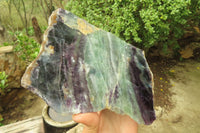 Polished Watermelon Fluorite Slice x 1 From Uis, Namibia