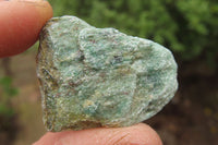 Natural Kyanite In Fuchsite Matrix Specimens x 2 Kg Lot From Zimbabwe