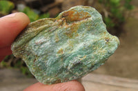 Natural Kyanite In Fuchsite Matrix Specimens x 2 Kg Lot From Zimbabwe