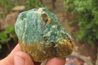 Natural Kyanite In Fuchsite Matrix Specimens x 2 Kg Lot From Zimbabwe