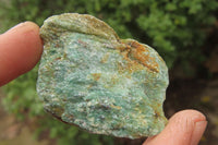 Natural Kyanite In Fuchsite Matrix Specimens x 2 Kg Lot From Zimbabwe