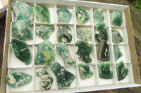 Polished On One Side Mtorolite Slices x 24 From Zimbabwe