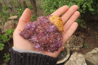 Natural Amethystos Amethyst Specimens x 6 From Kwaggafontein, South Africa