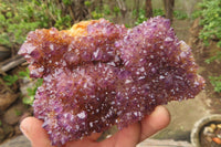 Natural Amethystos Amethyst Specimens x 6 From Kwaggafontein, South Africa