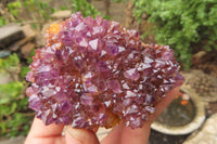 Natural Amethystos Amethyst Specimens x 6 From Kwaggafontein, South Africa