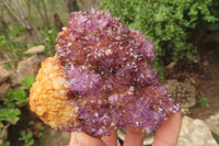 Natural Amethystos Amethyst Specimens x 6 From Kwaggafontein, South Africa