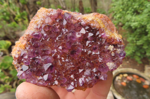 Natural Amethystos Amethyst Specimens x 6 From Kwaggafontein, South Africa