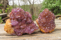 Natural Amethystos Amethyst Specimens x 6 From Kwaggafontein, South Africa